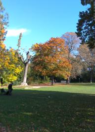This photo is taken by AllWinner's v3-sdv
