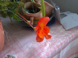 This photo is taken by AllWinner's v3-sdv