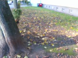 This photo is taken by AllWinner's v3-sdv