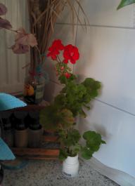 This photo is taken by AllWinner's v3-sdv