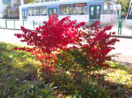 This photo is taken by AllWinner's v3-sdv