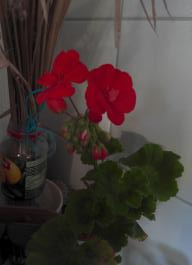 This photo is taken by AllWinner's v3-sdv