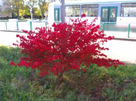 This photo is taken by AllWinner's v3-sdv