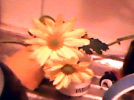 herbherbPLUZZ_P5290198A