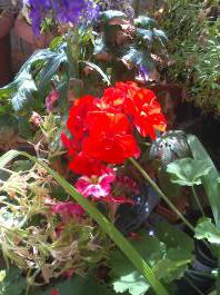 This photo is taken by AllWinner's v3-sdv