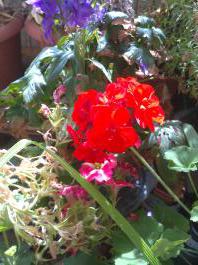 This photo is taken by AllWinner's v3-sdv