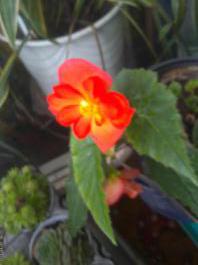This photo is taken by AllWinner's v3-sdv