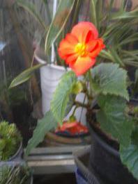 This photo is taken by AllWinner's v3-sdv