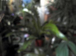 This photo is taken by AllWinner's v3-sdv