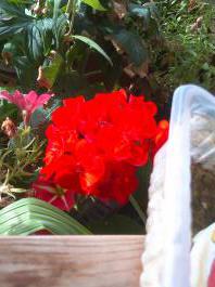 This photo is taken by AllWinner's v3-sdv