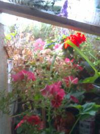 This photo is taken by AllWinner's v3-sdv