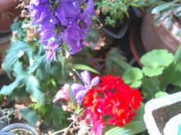 This photo is taken by AllWinner's v3-sdv
