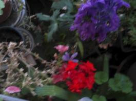 This photo is taken by AllWinner's v3-sdv
