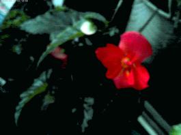 This photo is taken by AllWinner's v3-sdv