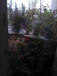 This photo is taken by AllWinner's v3-sdv