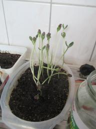 AIMG_4807