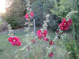 AIMG_4826