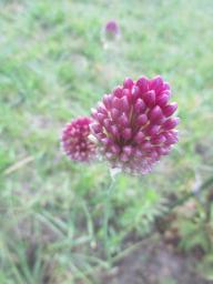 AIMG_4837