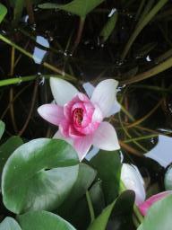 AIMG_4853