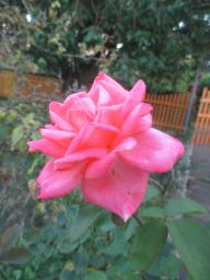 AIMG_4873