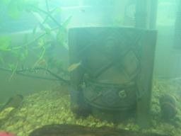 AIMG_4881