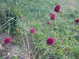 AIMG_4902