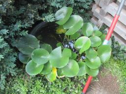 AIMG_4926