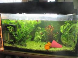 AIMG_4930