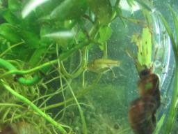 AIMG_4932