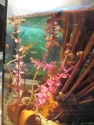AIMG_4983