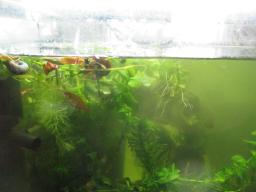 AIMG_5021