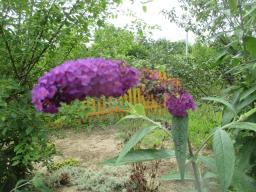 AIMG_5045