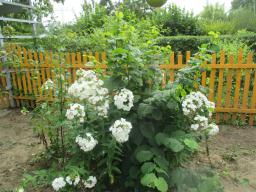 AIMG_5047