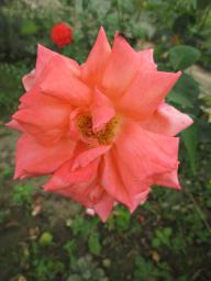 AIMG_5051