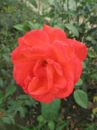 AIMG_5052