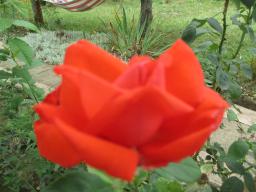AIMG_5053