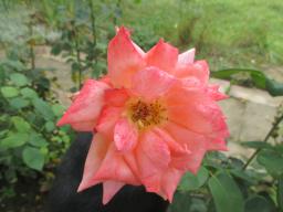 AIMG_5054
