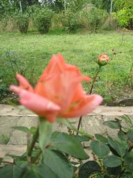 AIMG_5055