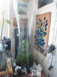 AIMG_5086