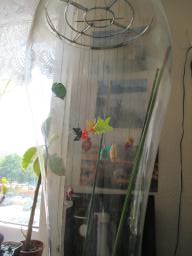AIMG_5130