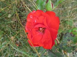AIMG_5139
