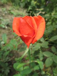 AIMG_5140