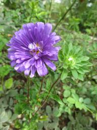 AIMG_5141
