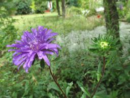 AIMG_5142