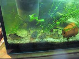 AIMG_5176
