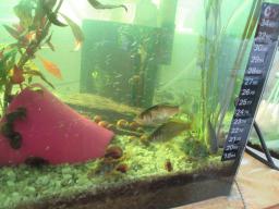 AIMG_5177