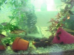 AIMG_5178