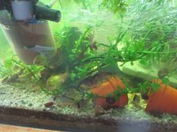 AIMG_5179