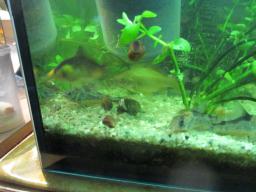 AIMG_5196