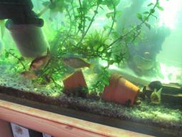 AIMG_5305